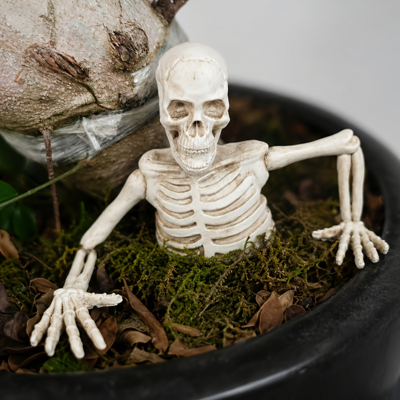 Half-body Climbing Out of the  - Bonsai Garden Landscape Design 评论和价格