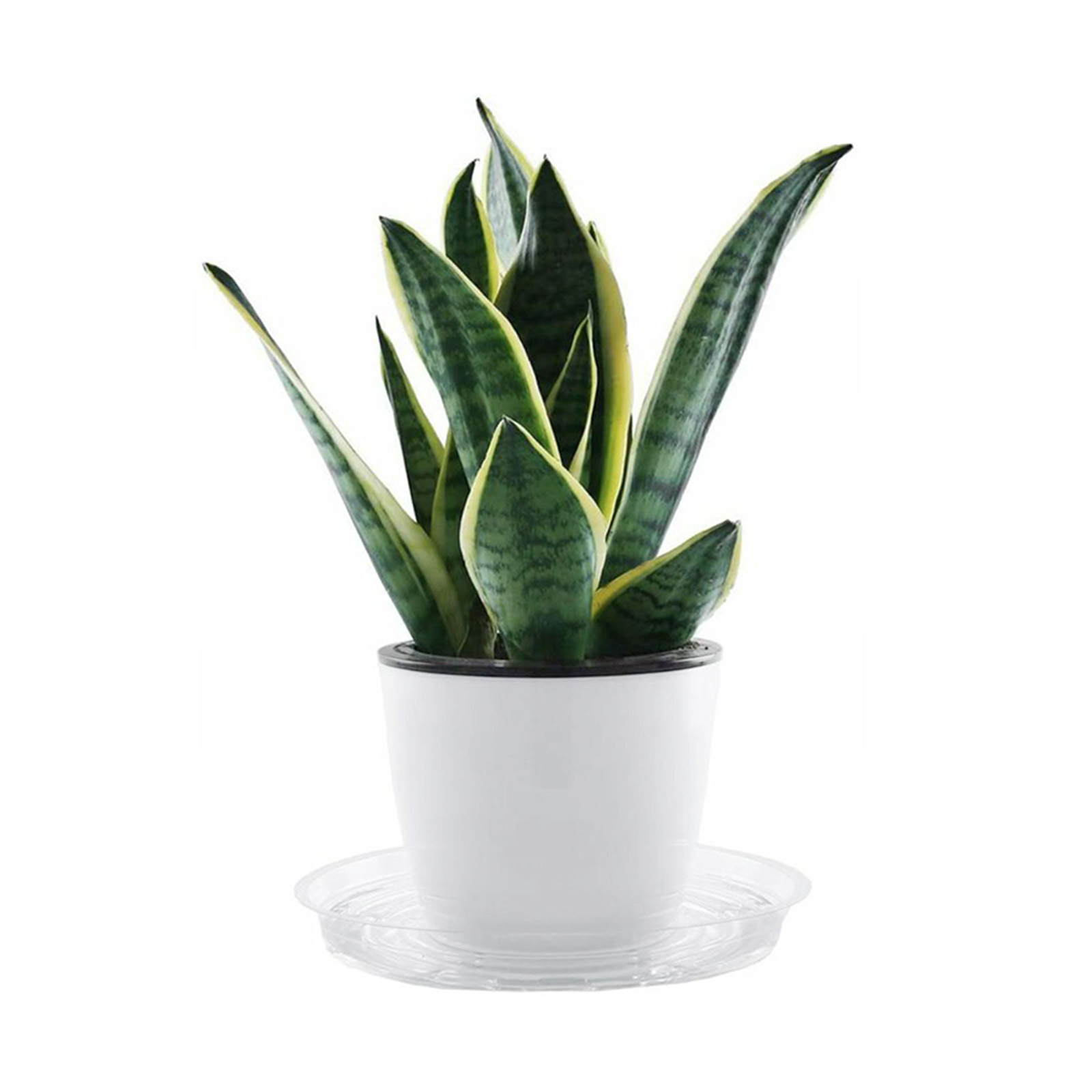 10pc Garden Plant Saucer Drip  - Drip Tray Saucer 评论和价格